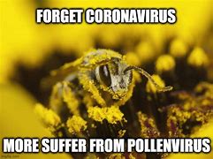 Image result for Pollen Pool Meme