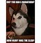 Image result for Joking Husky Meme