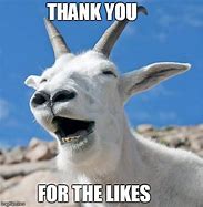 Image result for Goat Thank You Meme