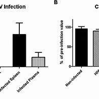 Image result for HIV infection