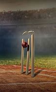 Image result for Cricket Bat Background