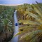 Image result for Palm Tree Farm