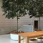 Image result for Apple Singapore Store Interior