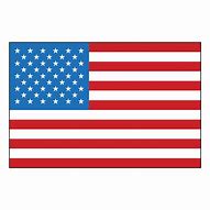 Image result for USA State Logo
