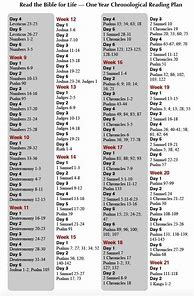 Image result for 1 Year Bible Chronological Reading