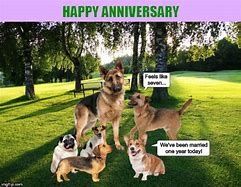 Image result for Wedding Dog Meme