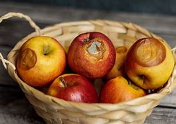 Image result for A Box of Bad Apple's