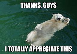 Image result for Love and Appreciation 2018 Memes