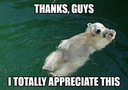 Image result for Thank You for Being Smart Meme