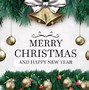 Image result for Merry Christmas and Happy New Year Cute Meme