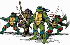 Image result for Classic Ninja Turtles Schrader