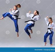Image result for Judo Karate
