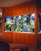 Image result for Aquarium Decoration Ideas