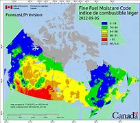 Image result for Wildland Fire Fuel Types