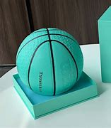 Image result for Wilson Basketball Indoow