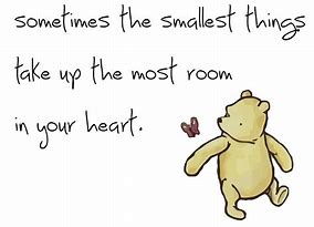 Image result for Pooh Bear Quotes About Sons