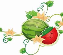 Image result for Watermelon Vine Meme