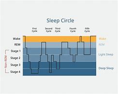Image result for Jawbone Normal Sleep Pattern