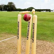 Image result for Middle Stump Wicket