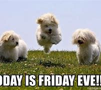 Image result for Friday Eve Dog Meme