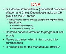 Image result for Albanian DNA