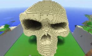 Image result for Skull in Minecraft