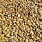 Image result for Gold Pebbles