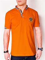 Image result for Polo Tee Shirt