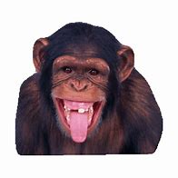 Image result for Laughing Sticker