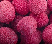 Image result for Things That Are Pink