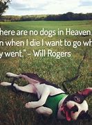 Image result for Dead Dog Quotes