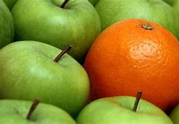 Image result for Apple's Oranges Row