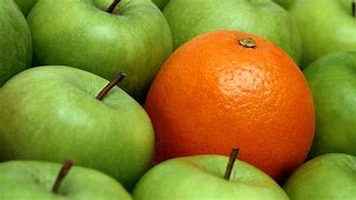 Image result for Apples and Oranges Comparison