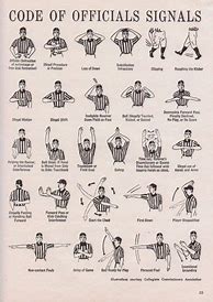 Image result for Hand Signals in Cricket
