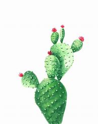Image result for Watercolor Cactus Prints