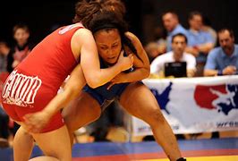 Image result for USA Wrestling SVG