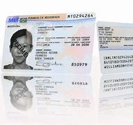 Image result for Malta Residence Permit
