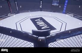 Image result for MMA Stage