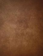 Image result for Old Master Canvas Texture