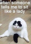 Image result for Hilarious Actually Funny Memes
