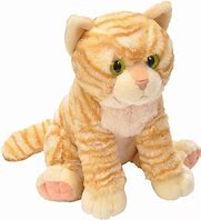 Image result for Baby Cat Toys