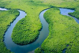 Image result for South American R River