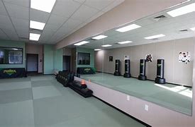 Image result for Premier Martial Arts Oak Ridge TN