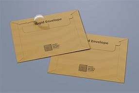 Image result for A3 Envelope Sample