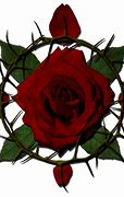 Image result for Cool Thorns