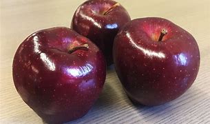 Image result for How Many Different Types of Apple's