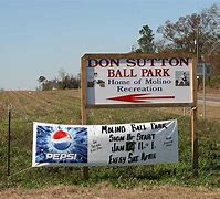 Image result for Molino Little League Softball