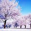 Image result for Cute Girly Winter Wallpapers