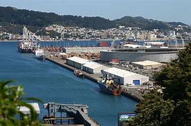Image result for Wellington Criolla Port