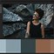 Image result for Color Harmony Schemes